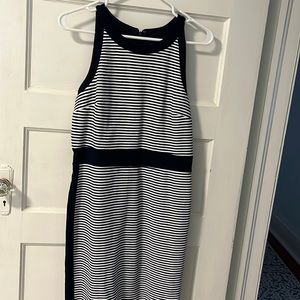 Ann Taylor Fitted Dress